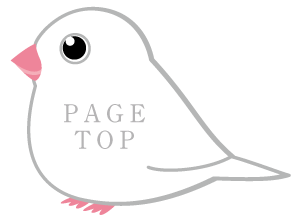 PAGE TOPへ戻る
