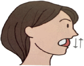 舌の上下運動のイラスト